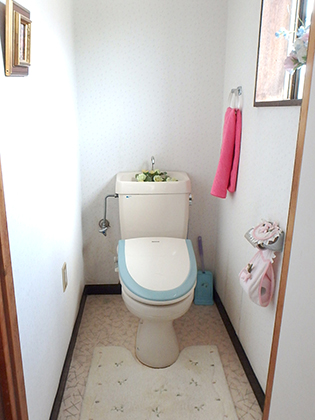 toilet78_02.jpg