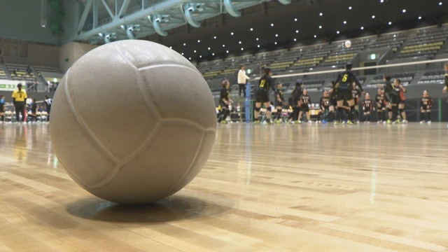 バレーボール大会の様子